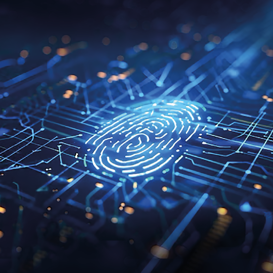 Image hover effect image